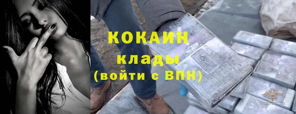 спайс Алзамай